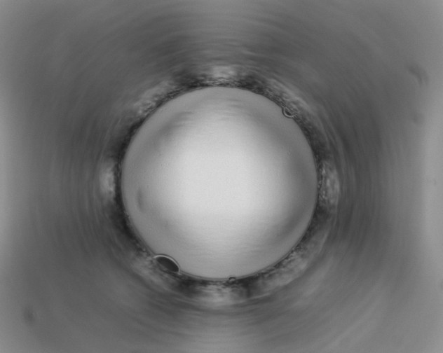 X0000113370562200910131323
