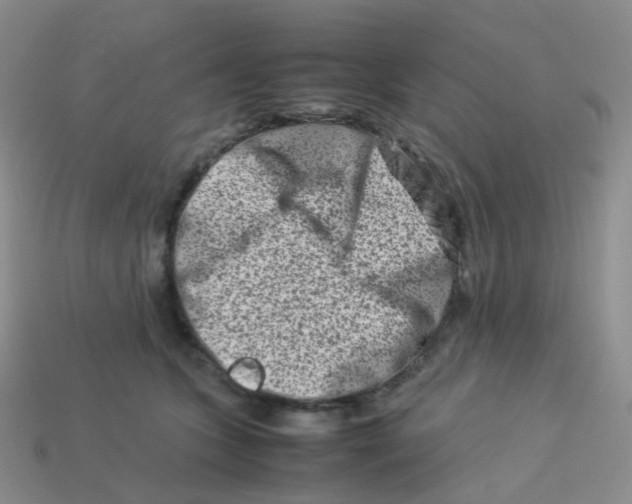 X0000113370563200910131323