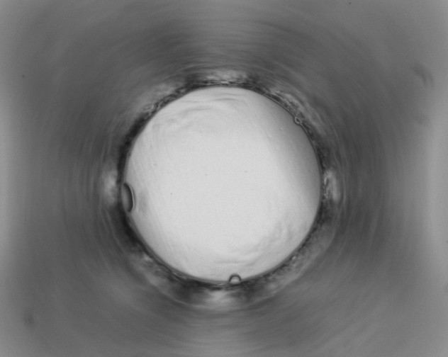 X0000113370564200910131323
