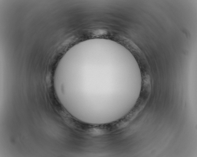 X0000113370565200910131323
