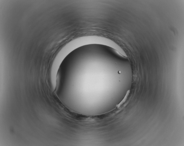 X0000113370566200910131323