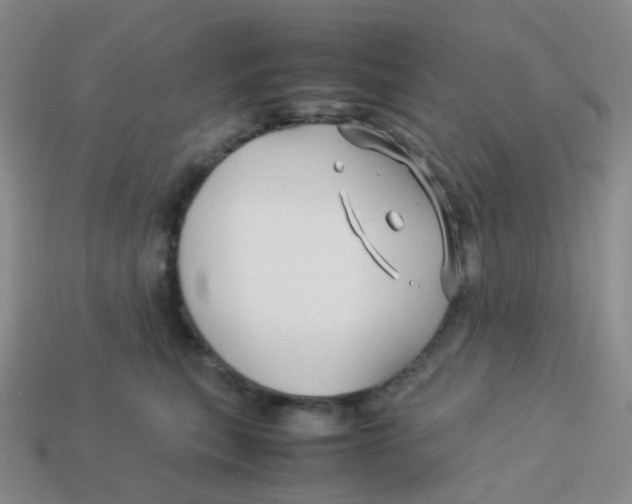 X0000113370567200910131323