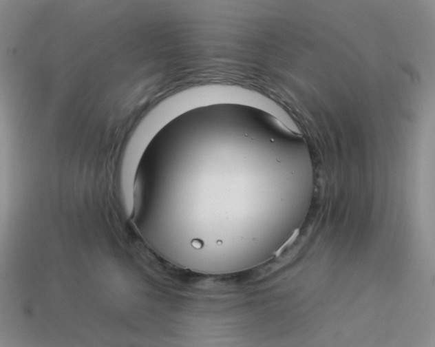 X0000113370568200910131323