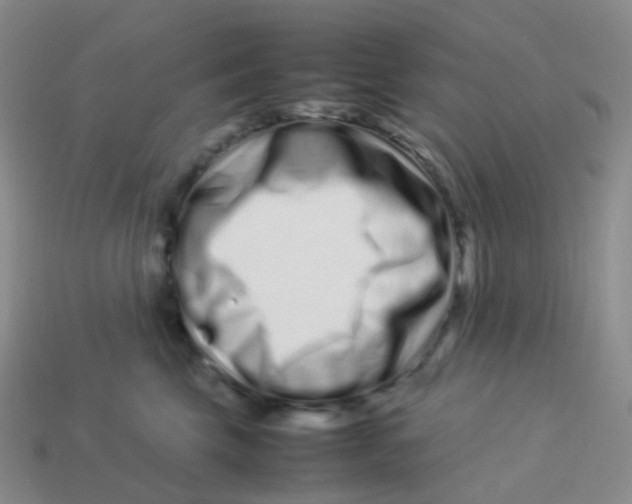 X0000113370569200910131323