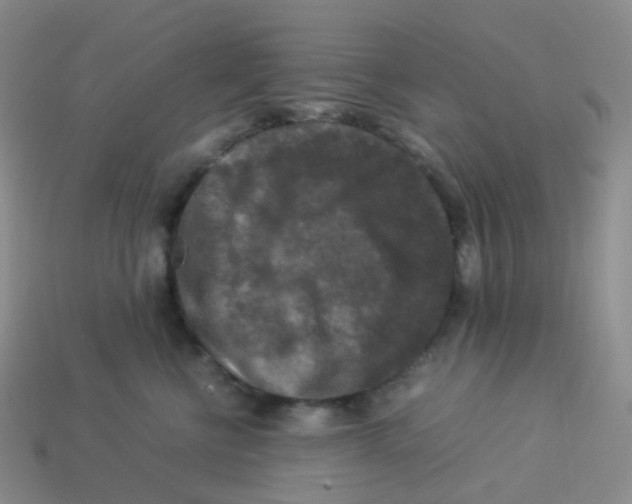 X0000113370570200910131323