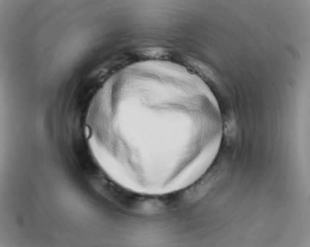 X0000113370572200910131323