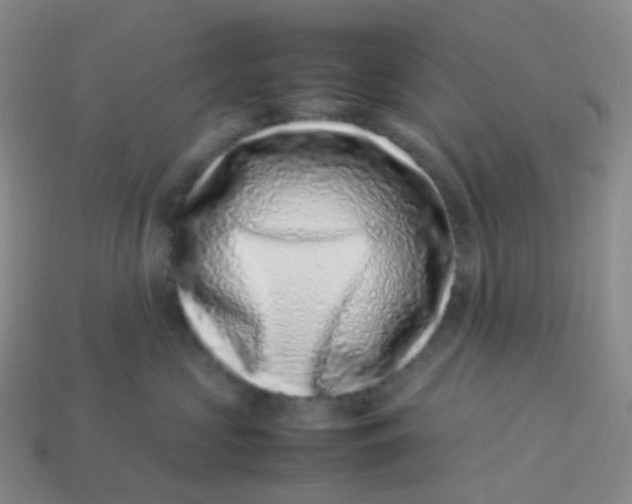 X0000113370573200910131323