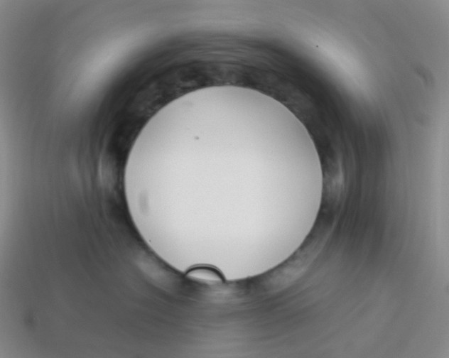 X0000113370574200910131323