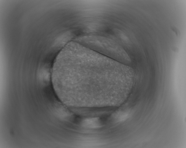 X0000113370576200910131323