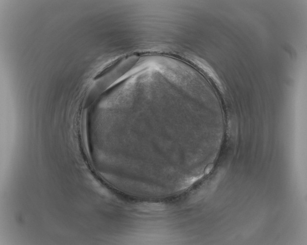 X0000113370577200910131323