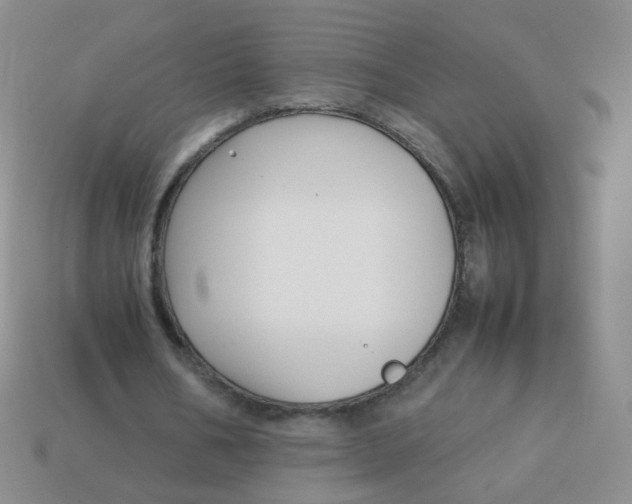 X0000113370578200910131323
