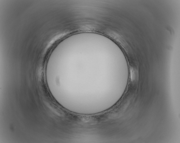 X0000113370579200910131323
