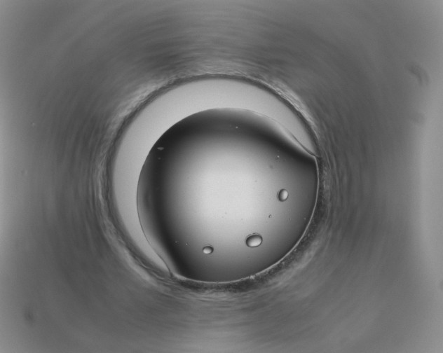 X0000113370581200910131323
