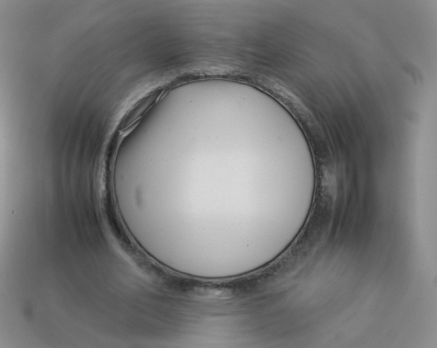 X0000113370582200910131323