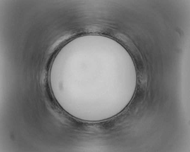 X0000113370583200910131322