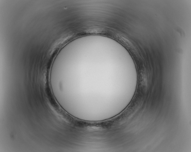 X0000113370586200910131322
