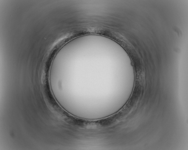 X0000113370587200910131322