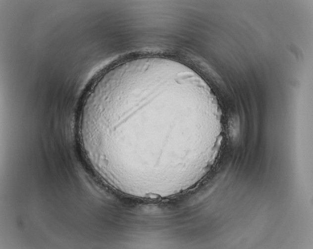 X0000113370588200910131322