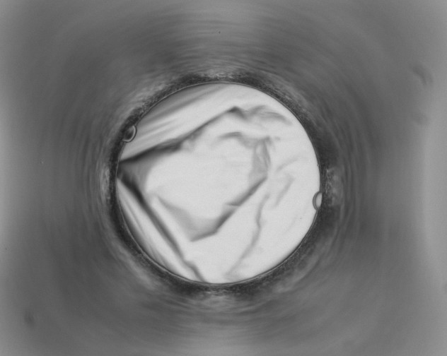 X0000113370589200910131322