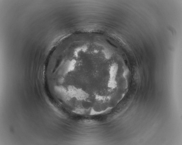 X0000113370590200910131322