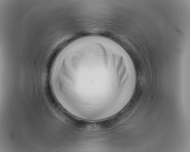 X0000113370591200910131322