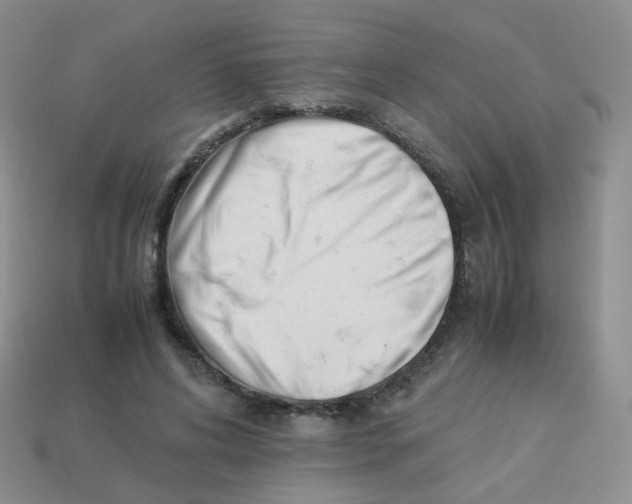 X0000113370592200910131322
