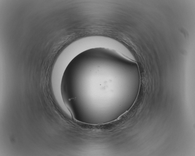 X0000113370593200910131322