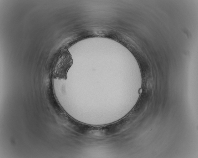 X0000113370595200910131322