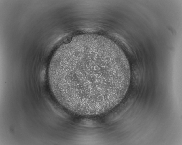 X0000113370596200910131322