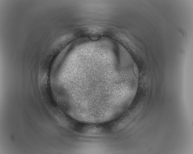 X0000113370597200910131322