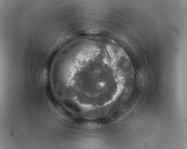 X0000113370598200910131322