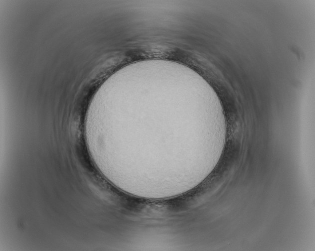 X0000113370599200910131322