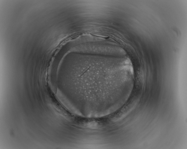 X0000113370600200910131322