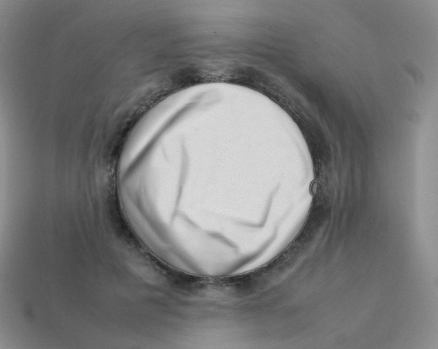 X0000113370601200910131322