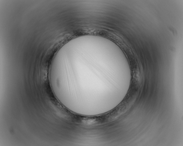 X0000113370602200910131322