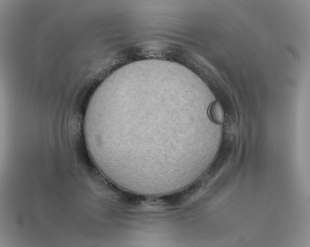 X0000113370603200910131322