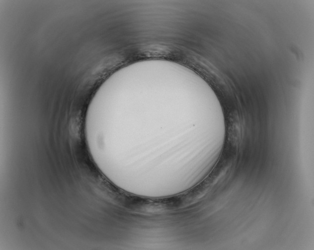 X0000113370604200910131322