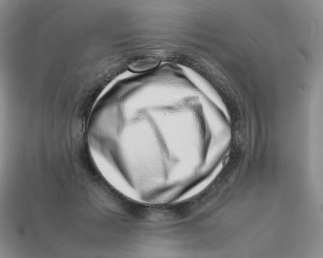 X0000113370605200910131322