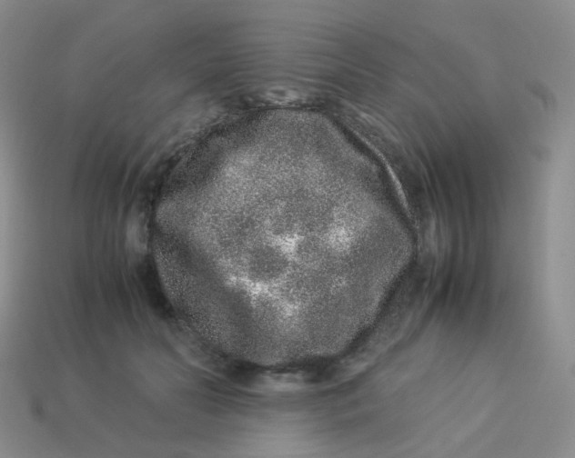 X0000113370606200910131322