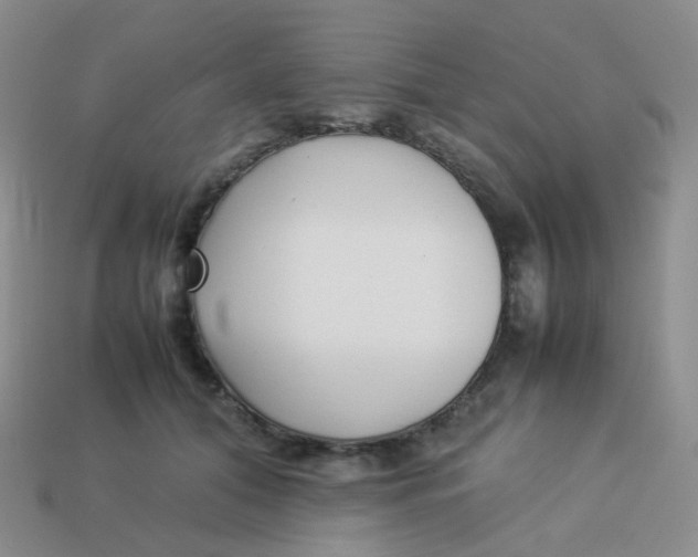 X0000113370608200910131322