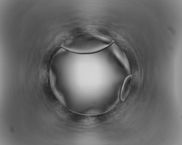 X0000113370609200910131322