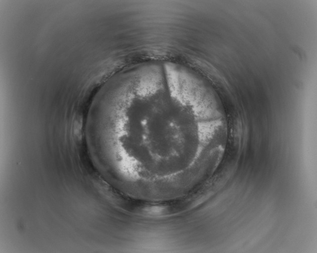X0000113370610200910131322