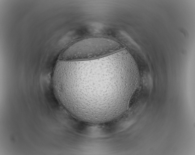 X0000113370611200910131322