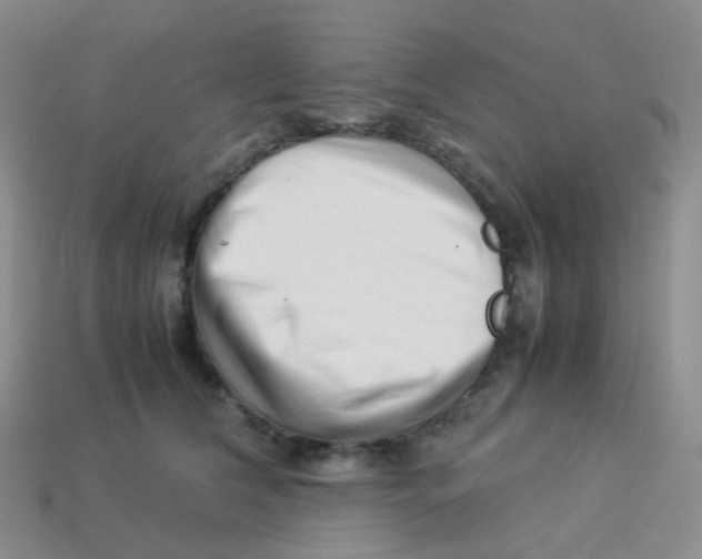 X0000113370612200910131322