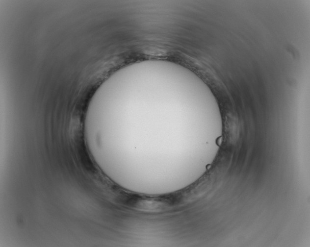 X0000113370614200910131322