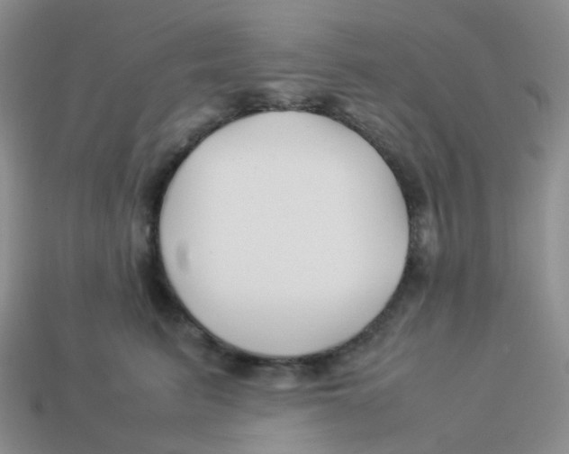 X0000113370615200910131322