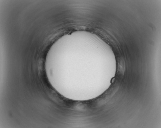 X0000113370616200910131322