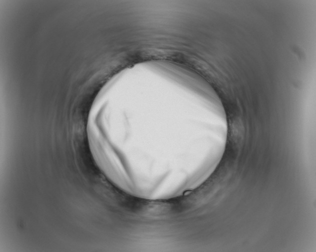 X0000113370617200910131322