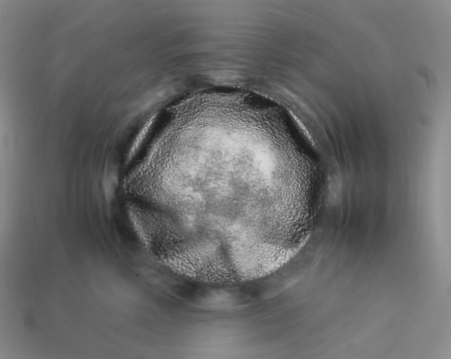 X0000113370618200910131322