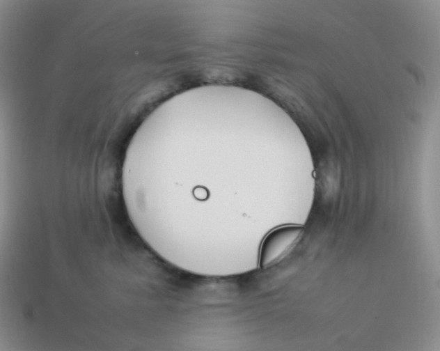 X0000113370619200910131322